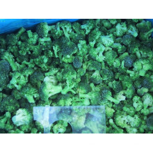 Frozen Fresh Broccoli High Quality